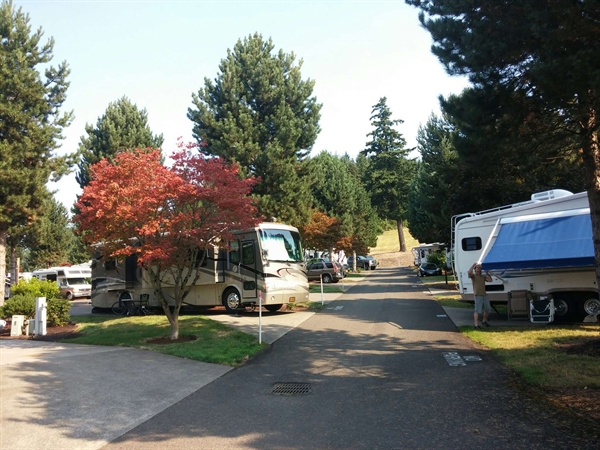 Pheasant Ridge Recreational Vehicle Resort, Wilsonville, OR GPS, Campsites, Rates, Photos